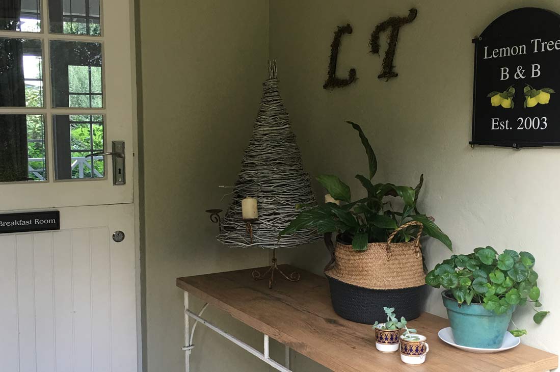 Lemon Tree